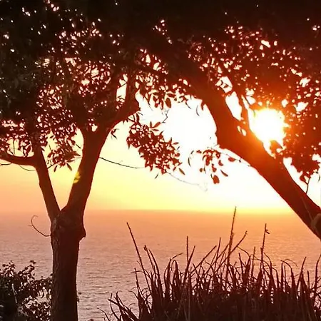 Seaclusion Vacation * بوموس